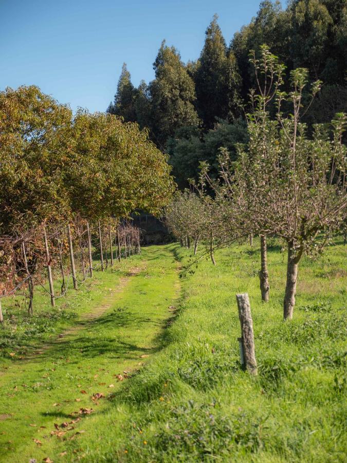 בית הארחה Durrães 	Naturena Agro-Turismo מראה חיצוני תמונה