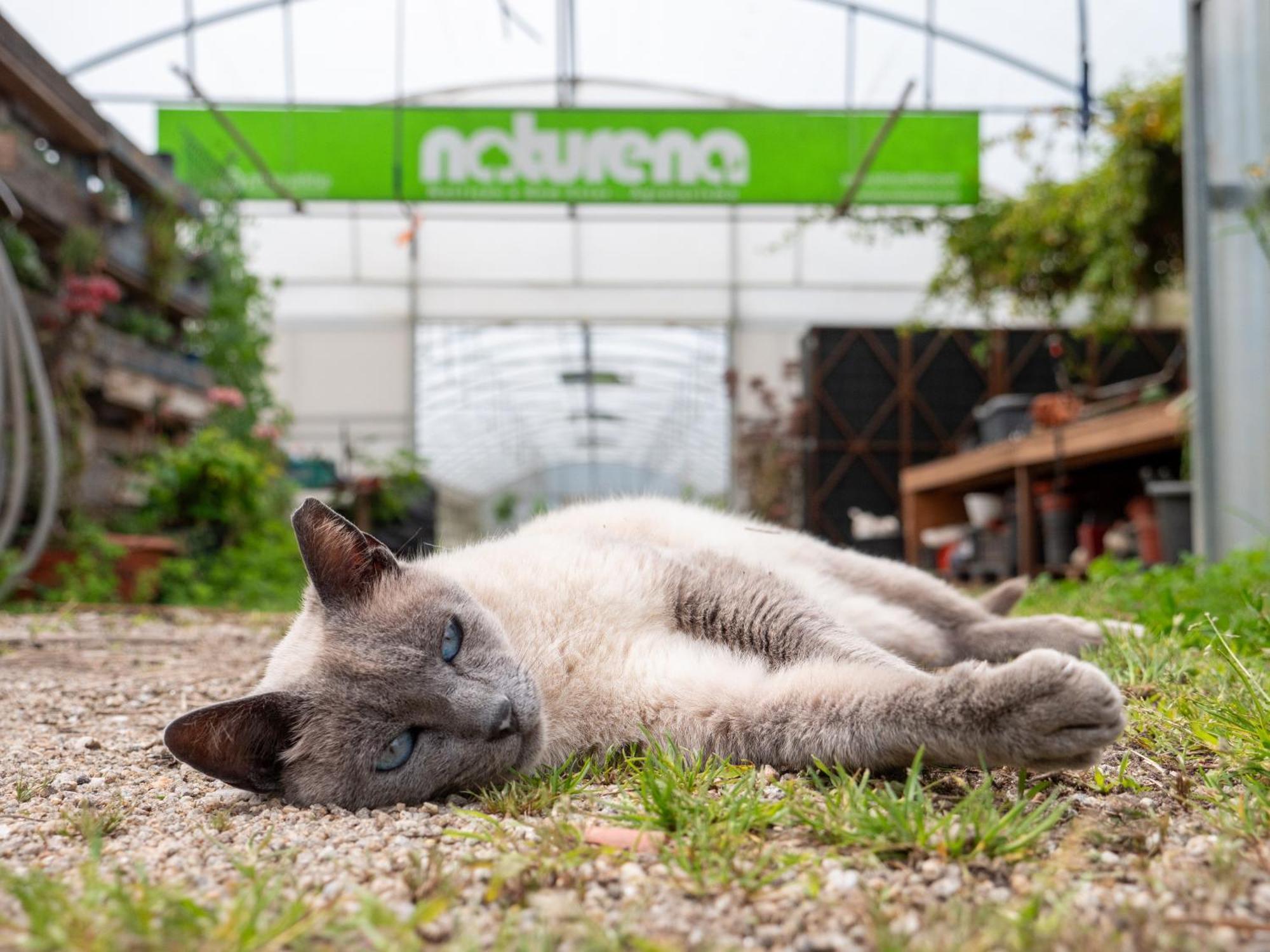 בית הארחה Durrães 	Naturena Agro-Turismo מראה חיצוני תמונה